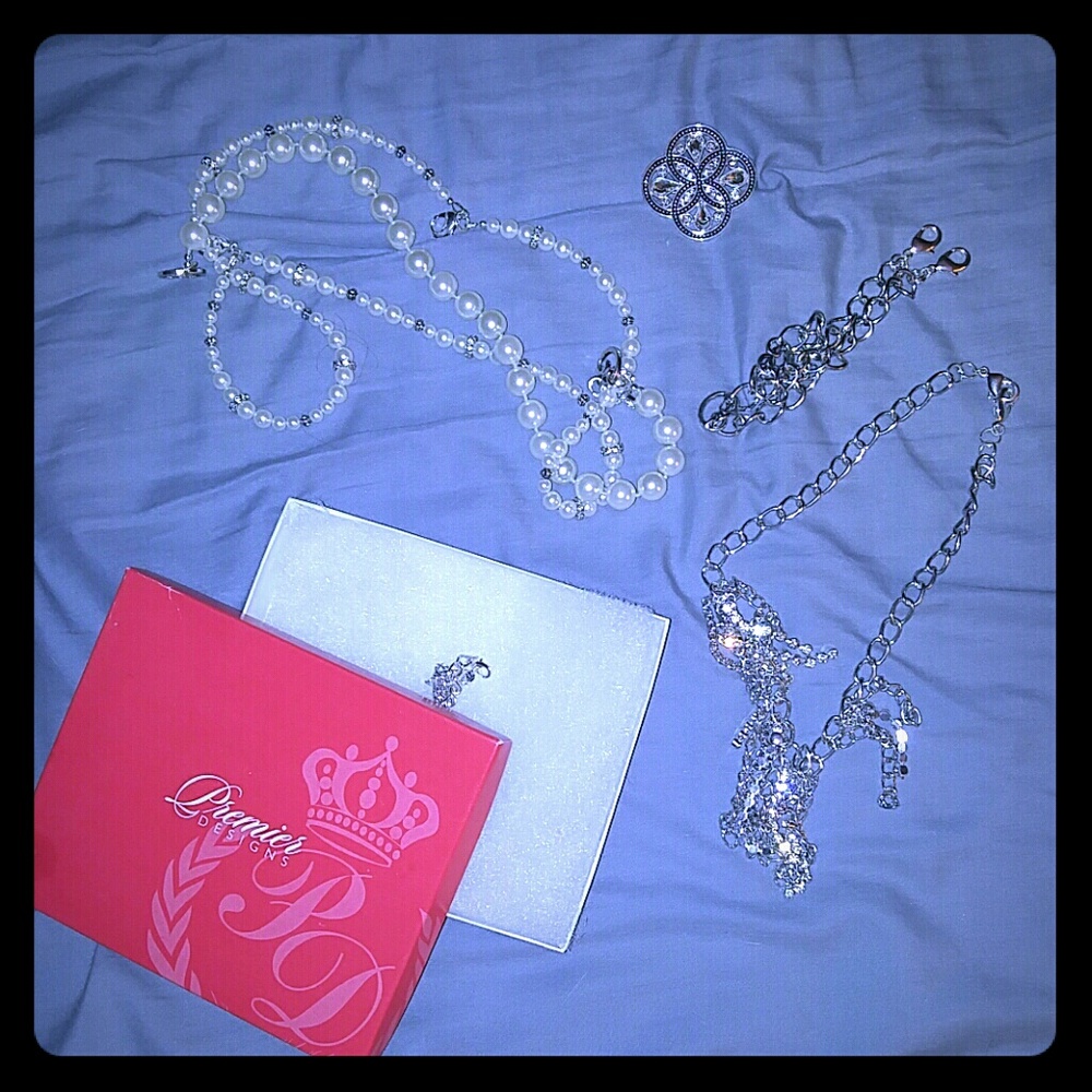 Premier Designs Necklace set